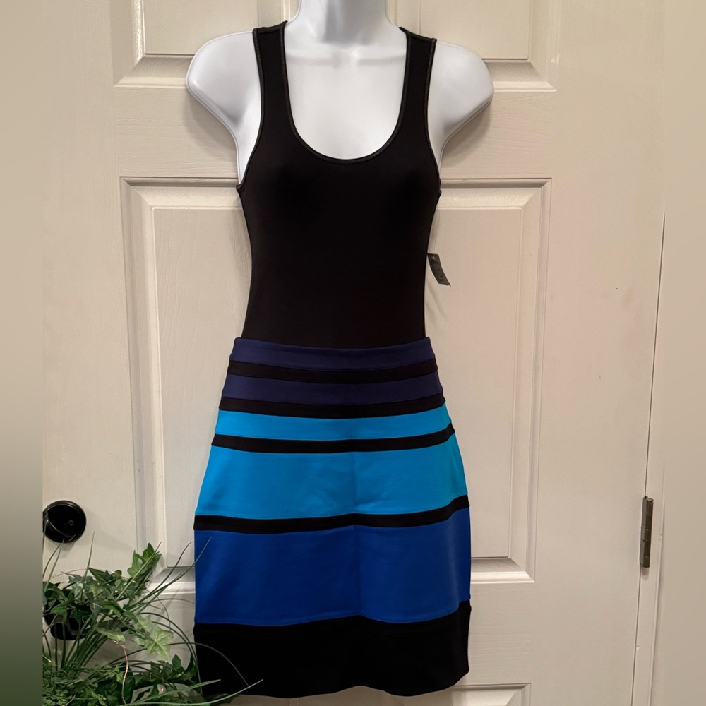Express High waisted Mini Skirt